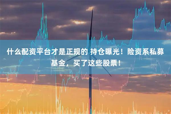 什么配资平台才是正规的 持仓曝光！险资系私募基金，买了这些股票！