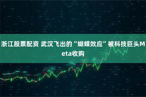 浙江股票配资 武汉飞出的“蝴蝶效应”被科技巨头Meta收购