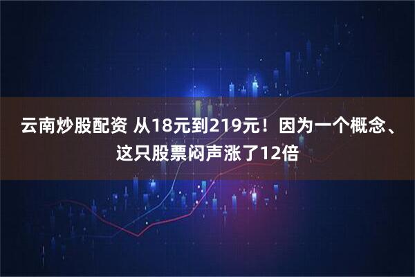 云南炒股配资 从18元到219元！因为一个概念、这只股票闷声涨了12倍